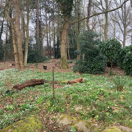 Woodland Retreat, Market Lane, Blundeston, Lowestoft 外观 照片