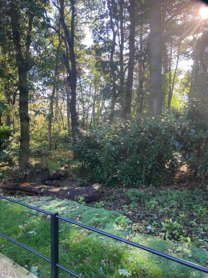 Woodland Retreat, Market Lane, Blundeston, Lowestoft 外观 照片
