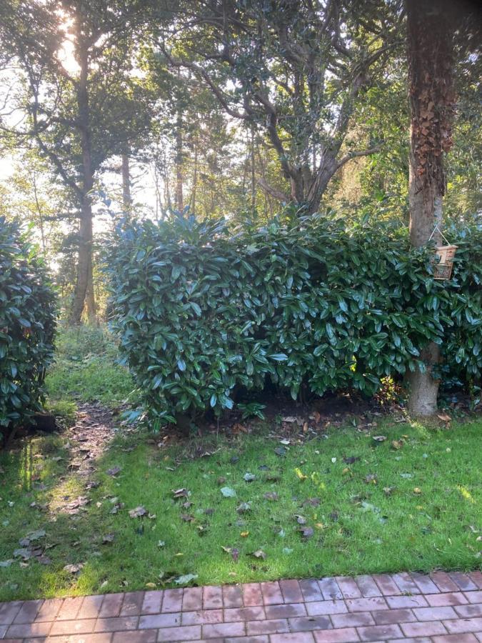 Woodland Retreat, Market Lane, Blundeston, Lowestoft 外观 照片