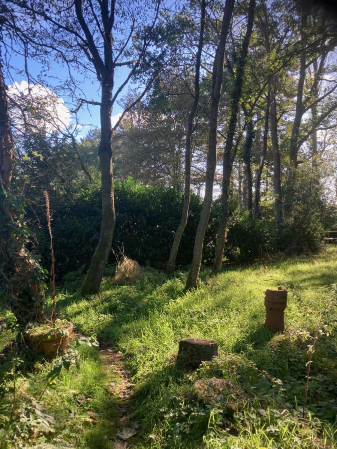 Woodland Retreat, Market Lane, Blundeston, Lowestoft 外观 照片