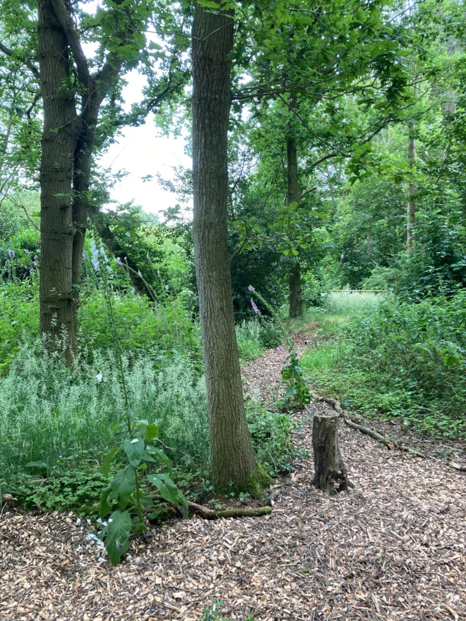 Woodland Retreat, Market Lane, Blundeston, Lowestoft 外观 照片