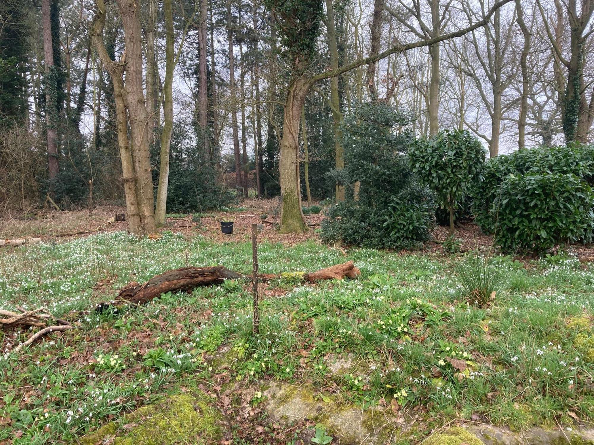 Woodland Retreat, Market Lane, Blundeston, Lowestoft 外观 照片